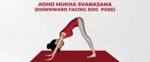 Hatha Yoga 10 Downward facing dog pose