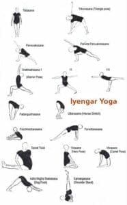 Exploring the Essence of Iyengar Yoga: An In-Depth Look at the Practice and Philosophy 1 Iyengar Yoga poses