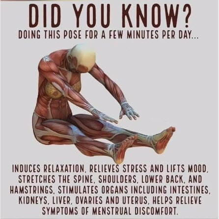Yoga 1 11-09-2023 10-14-45