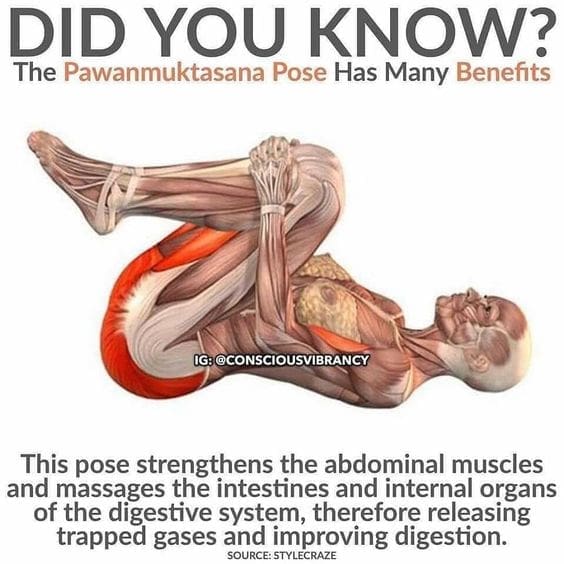 Yoga 5 Pawanmuktasna pose