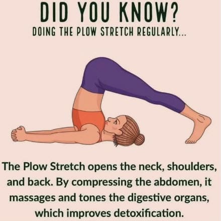 Yoga 7 Plow Stretch
