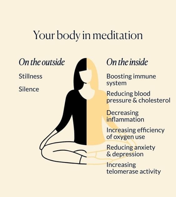 Meditation 5 Your body