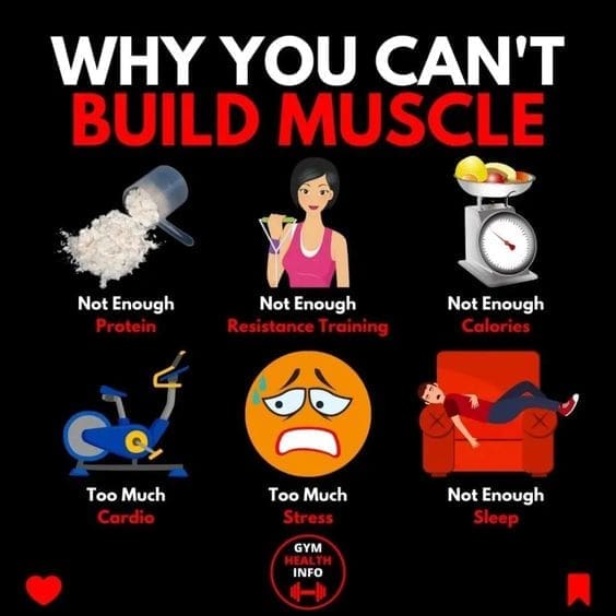 Work out - Build Muscles
