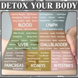 The Truth About Detox Diets 1 Detox your body