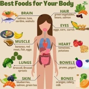 Nutrition
