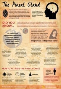 Kundalini Awakening: Unlocking Third Eye's Power for Spiritual Growth 2 Pineal Gland
