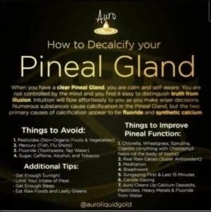 Meditation 16 pineal gland