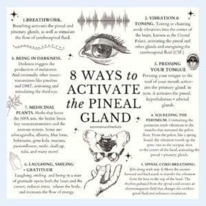 pineal gland