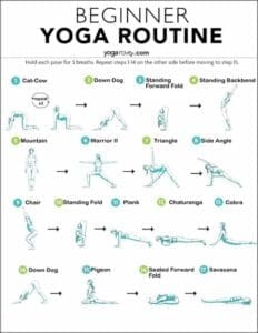 Beginner's Yoga: Your Path to Wellness 2 Beginner's Yoga