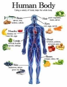 Healthy Eating Guide: Nutritionist-Approved Foods 2 Healthy Eating Guide