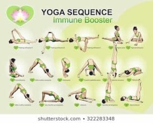 Immune Boosting Yoga: 5 Key Poses For Enhanced Health 1 Immune Boosting