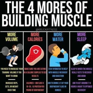 Nutrition Exercise 15 Muscle Building Nutrition
