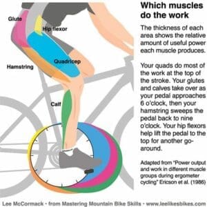 Cardio Workouts: Are Exercise Bikes Effective? 2 exercise bikes