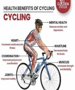 Cardio Workouts: Are Exercise Bikes Effective? 1 Health Benefits of Cycling