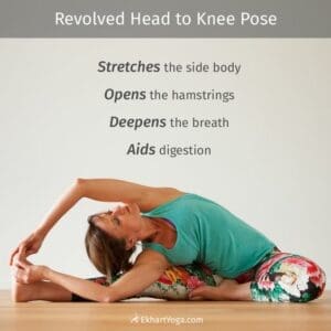 Yoga Poses 9 Revolved Head to Knee Pose - yoga stretches
