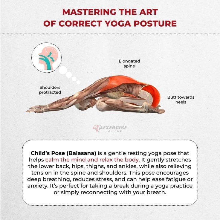 Yoga for Posture