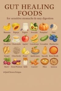 Gut Health Foods 2 Gut Health Foods