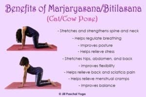 morning yoga poses - Cat-Cow Stretch